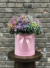 Цветочная композиция из Гипсофила и Розы в шляпной коробке #REPLACE_PRED# Токсово