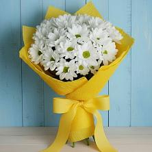 Букет цветов из:  Хризантемы в Токсово