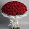 Букет 101 Красная роза Блэк Мэджик в Токсово