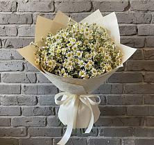 Букет цветов из:  Ромашки в Токсово