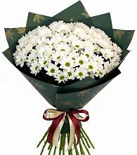 Букет цветов из:  Хризантемы в Токсово