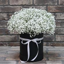 Цветочная композиция из Гипсофила в шляпной коробке #REPLACE_PRED# Токсово