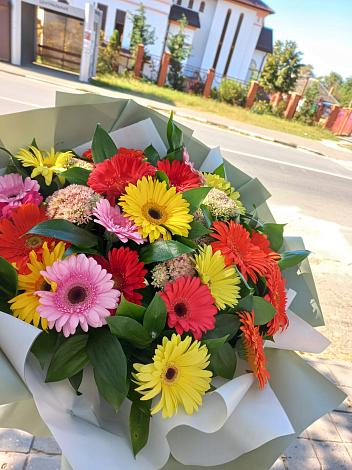 Букет цветов из: Герберы в Токсово