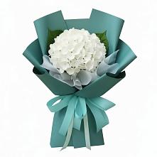 Букет цветов из:  Гортензия в Токсово